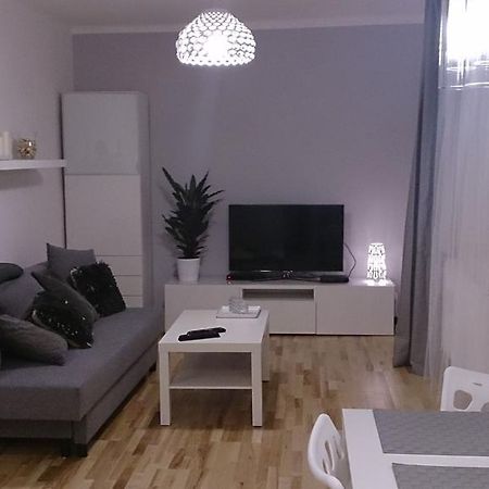 1 Bedroom City Center Apartment Катовице Номер фото